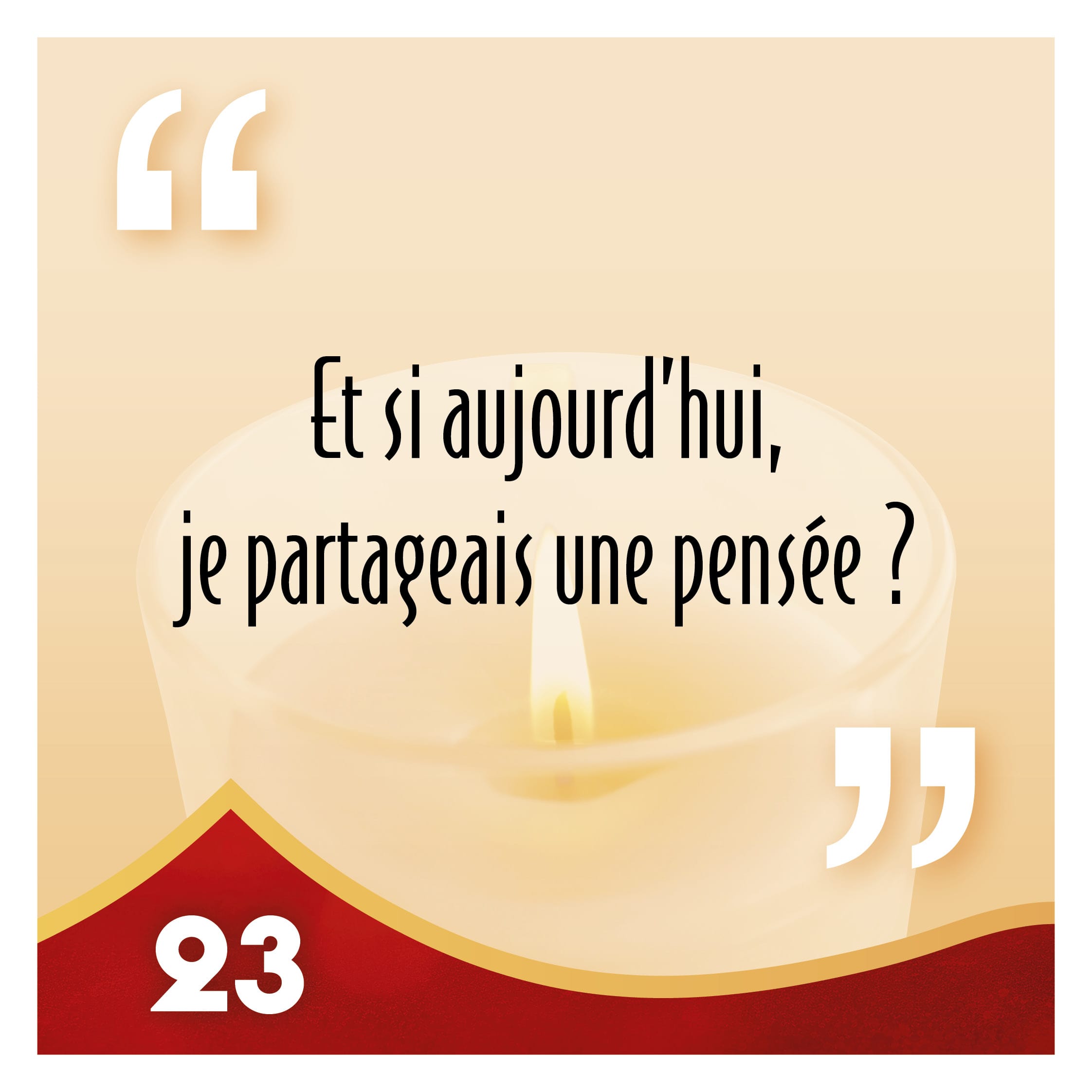 Day 23